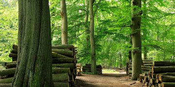 I Stock 157314571 1200 x 600